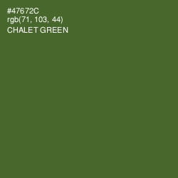 #47672C - Chalet Green Color Image